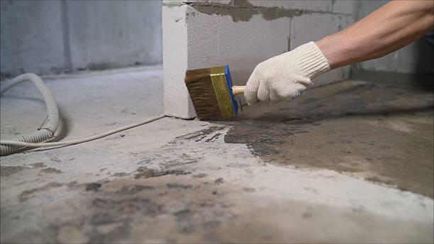 SJ Waterproofing Pros Waterproofing coverage map for Leonard, MI and surrounding area